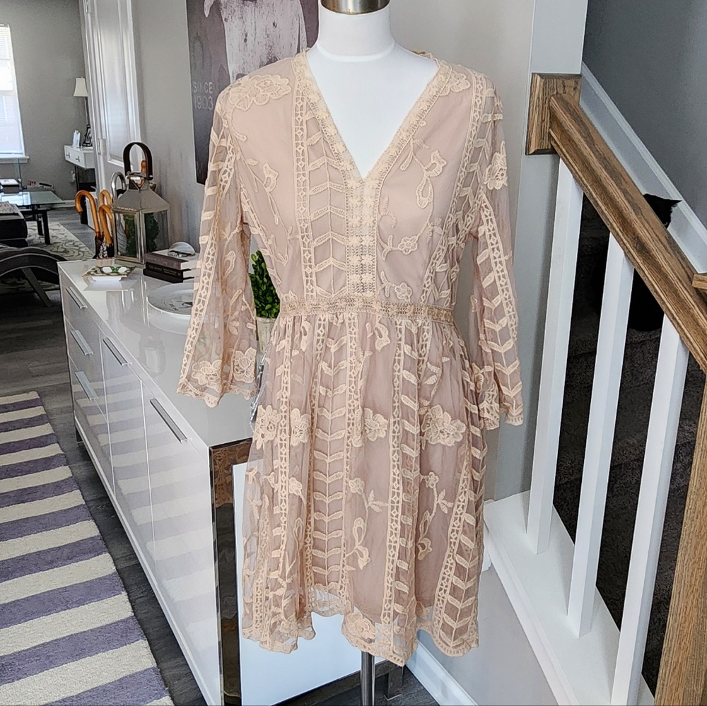 Easel Sheer Lace & Tool with Embroidery Dress